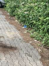 Bild zu gemeldetem Anliegen vom *2025-06-09 11:29:33