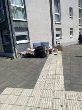 Bild zu gemeldetem Anliegen vom *2025-06-20 00:31:28