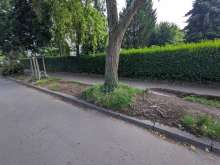 Bild zu gemeldetem Anliegen vom *2025-06-09 21:27:46