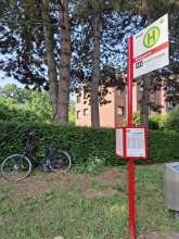 Bild zu gemeldetem Anliegen vom *2025-06-19 09:28:19