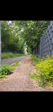 Bild zu gemeldetem Anliegen vom *2025-06-21 15:21:29