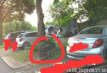 Bild zu gemeldetem Anliegen vom *2025-06-20 06:32:35