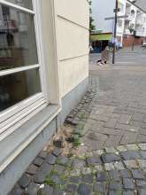 Bild zu gemeldetem Anliegen vom *2025-06-04 06:29:04