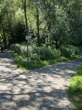 Bild zu gemeldetem Anliegen vom *2025-06-19 16:18:06
