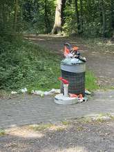 Bild zu gemeldetem Anliegen vom *2025-06-22 09:28:52