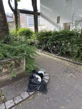 Bild zu gemeldetem Anliegen vom *2025-06-24 06:31:37