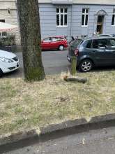 Bild zu gemeldetem Anliegen vom *2025-06-24 19:23:33