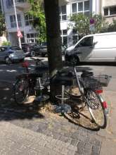Bild zu gemeldetem Anliegen vom *2025-06-25 10:09:00
