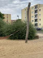Bild zu gemeldetem Anliegen vom *2025-06-25 15:27:32