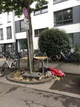 Bild zu gemeldetem Anliegen vom *2025-06-26 11:57:18