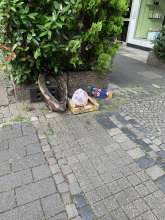Bild zu gemeldetem Anliegen vom *2025-06-28 06:29:34