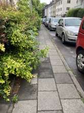 Bild zu gemeldetem Anliegen vom *2025-06-06 06:33:47