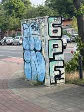 Bild zu gemeldetem Anliegen vom *2025-06-06 09:59:02