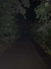 Bild zu gemeldetem Anliegen vom *2025-06-08 00:31:07