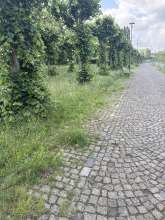 Bild zu gemeldetem Anliegen vom *2025-06-11 06:28:38