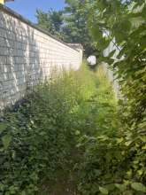 Bild zu gemeldetem Anliegen vom *2025-06-12 09:30:48