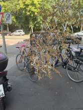 Bild zu gemeldetem Anliegen vom *2025-06-12 09:54:37