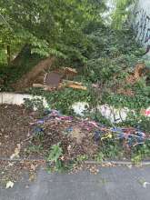Bild zu gemeldetem Anliegen vom *2025-06-13 15:27:30