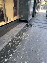 Bild zu gemeldetem Anliegen vom *2025-06-13 19:56:10
