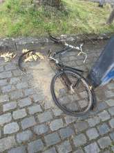 Bild zu gemeldetem Anliegen vom *2025-06-16 12:27:23