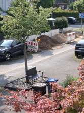 Bild zu gemeldetem Anliegen vom *2025-07-25 09:30:09
