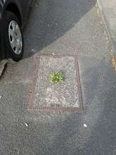 Bild zu gemeldetem Anliegen vom *2025-07-14 06:31:23