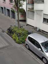 Bild zu gemeldetem Anliegen vom *2025-07-20 09:28:45