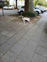 Bild zu gemeldetem Anliegen vom *2025-07-28 08:58:51