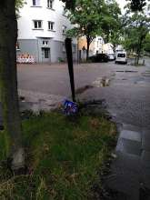 Bild zu gemeldetem Anliegen vom *2025-07-31 19:04:15