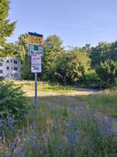 Bild zu gemeldetem Anliegen vom *2025-07-14 12:32:22