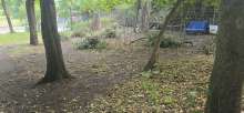 Bild zu gemeldetem Anliegen vom *2025-07-12 06:28:33