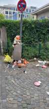 Bild zu gemeldetem Anliegen vom *2025-07-13 12:29:36