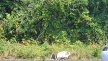 Bild zu gemeldetem Anliegen vom *2025-07-18 13:12:07
