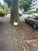 Bild zu gemeldetem Anliegen vom *2025-07-23 10:57:36
