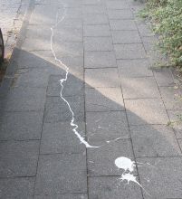 Bild zu gemeldetem Anliegen vom *2025-07-01 01:56:28