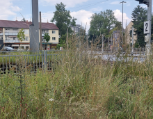 Bild zu gemeldetem Anliegen vom *2025-07-26 02:28:50