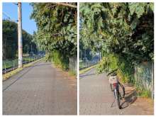 Bild zu gemeldetem Anliegen vom *2025-07-25 10:09:06