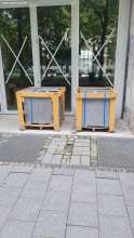 Bild zu gemeldetem Anliegen vom *2025-07-25 06:30:52