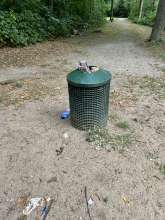Bild zu gemeldetem Anliegen vom *2025-07-28 06:28:55