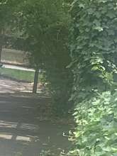 Bild zu gemeldetem Anliegen vom *2025-07-30 14:25:09