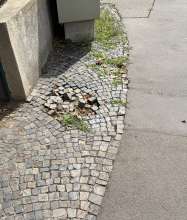 Bild zu gemeldetem Anliegen vom *2025-07-31 09:32:16