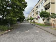Bild zu gemeldetem Anliegen vom *2025-07-25 06:30:52