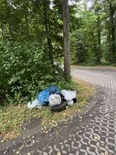 Bild zu gemeldetem Anliegen vom *2025-07-09 12:19:17