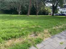 Bild zu gemeldetem Anliegen vom *2025-07-30 09:29:49