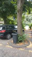 Bild zu gemeldetem Anliegen vom *2025-07-14 15:31:44