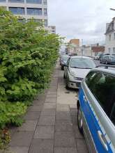 Bild zu gemeldetem Anliegen vom *2025-07-31 16:59:48
