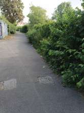 Bild zu gemeldetem Anliegen vom *2025-07-28 09:28:11