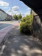 Bild zu gemeldetem Anliegen vom *2025-07-15 15:27:21