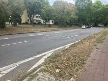Bild zu gemeldetem Anliegen vom *2025-07-21 13:29:50