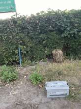 Bild zu gemeldetem Anliegen vom *2025-07-01 22:38:20